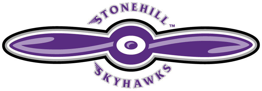 Stonehill Skyhawks 2005-2017 Secondary Logo v2 diy DTF decal sticker